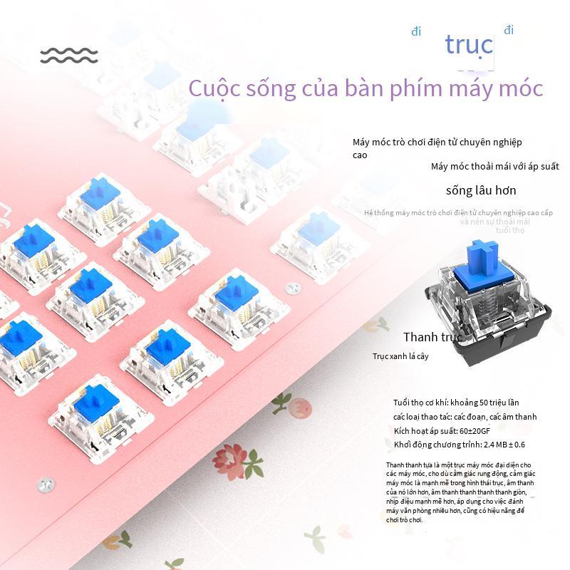 Ưu đãi đặc biệt Meishang E họ HJK901 bàn phím cơ chuột bộ retro cô gái màu hồng dễ thương màu xanh lá cây trục phím tròn bàn phím trò chơi