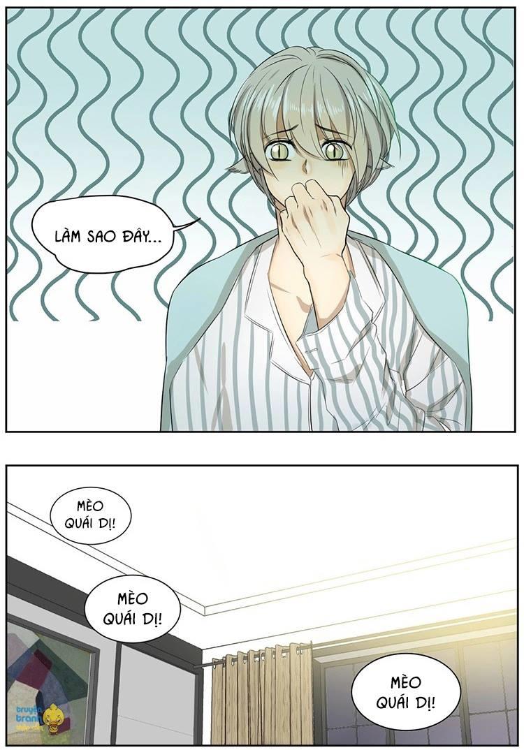 cứu mạng ! loài mèo thống trị thế giới rồi ! chapter 10 11