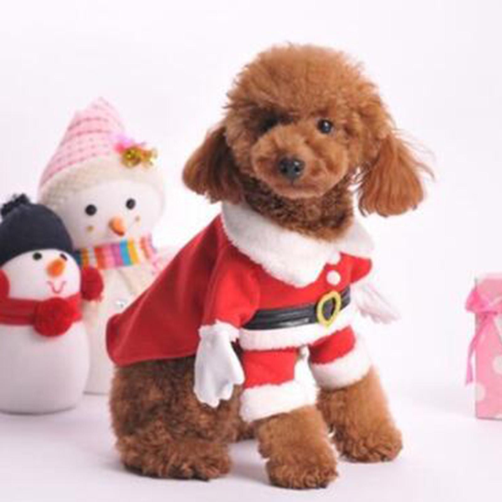 Dress Clothes Costume Outfits Jacket Warm for Winter Puppy Dog XS