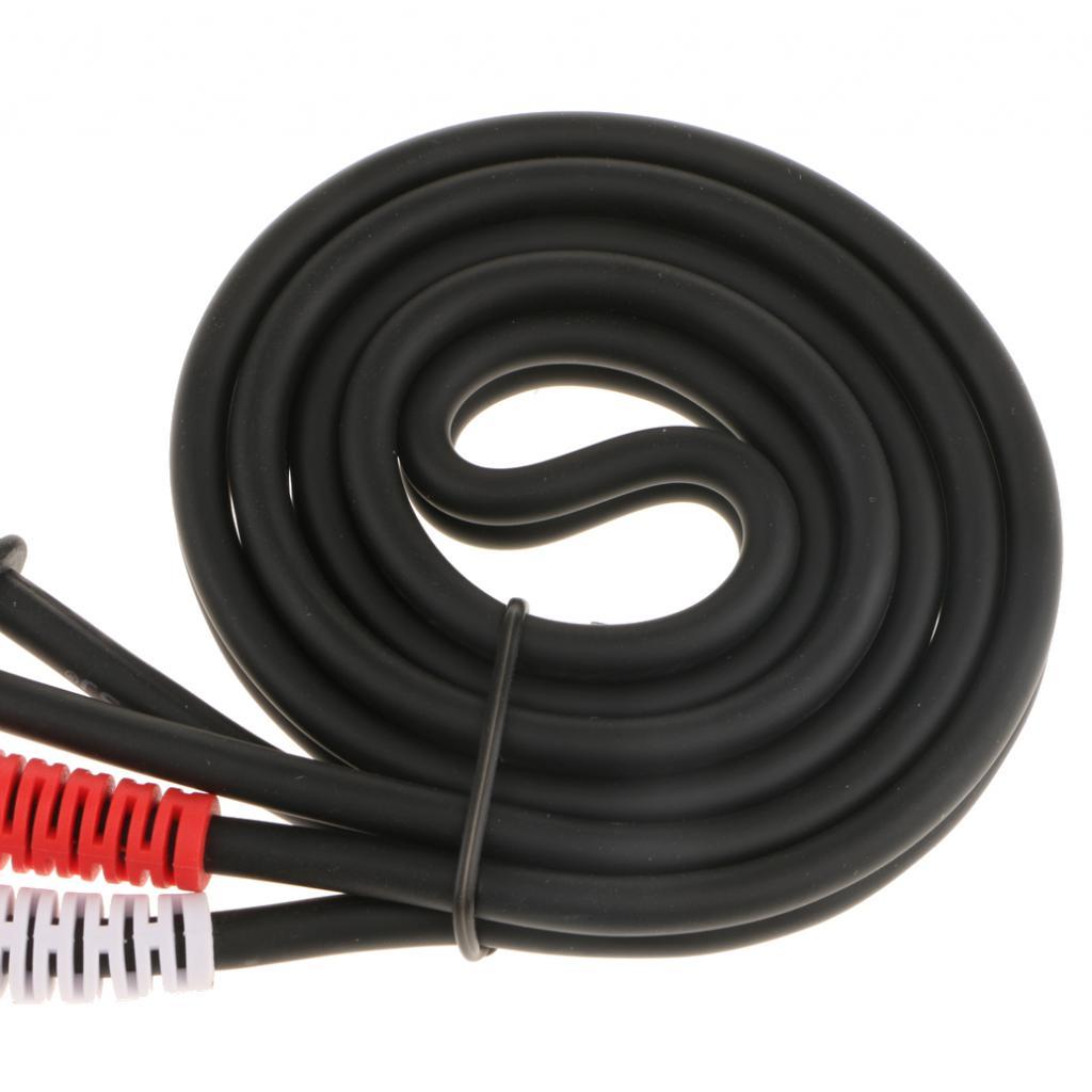 2x Dual 6.35mm Male to Dual RCA Male Audio AUX Gold Plated Plug Cable 1M