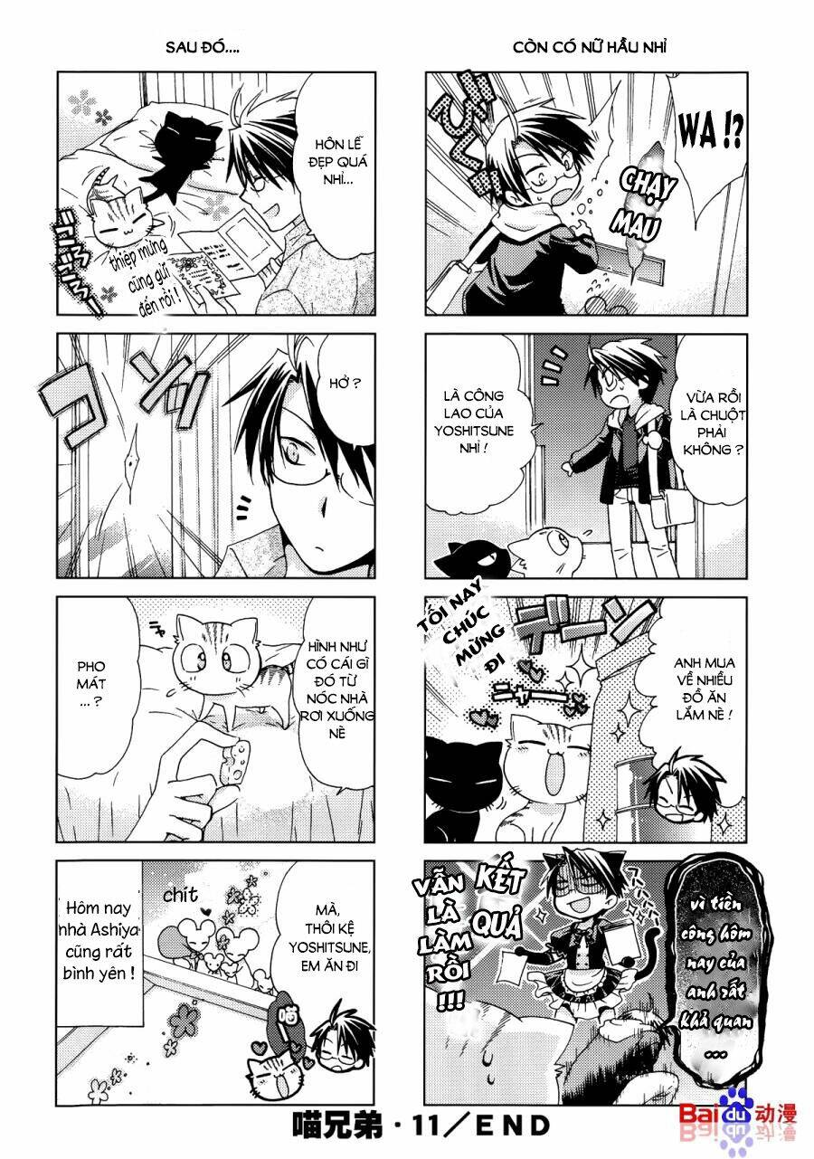 ashiya-san no neko chapter 11 1