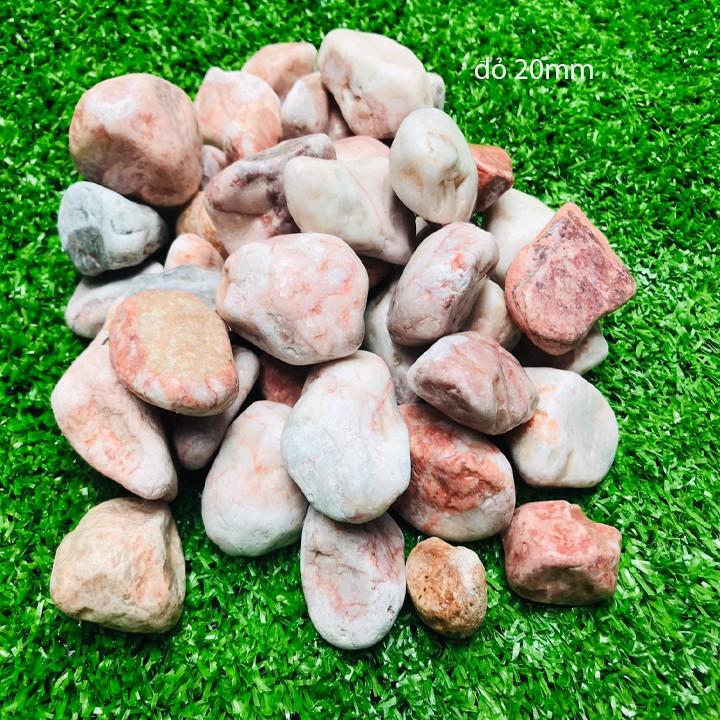 1kg sỏi bể cá - sỏi hồ cá