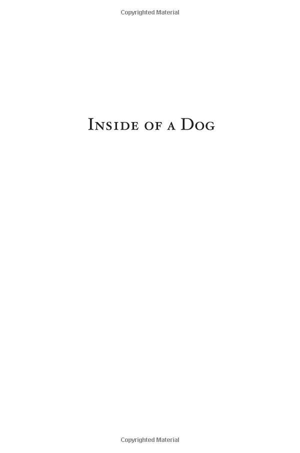 Inside Of A Dog