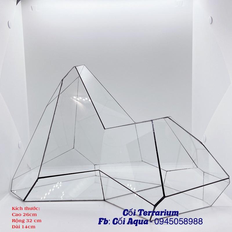 Bình thủy tinh Terrarium đa giác (Tặng kèm hít kính)