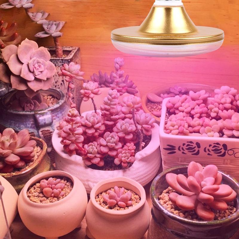 Bóng Đèn LED Trồng Cây E27 110v 220v Toàn Diện