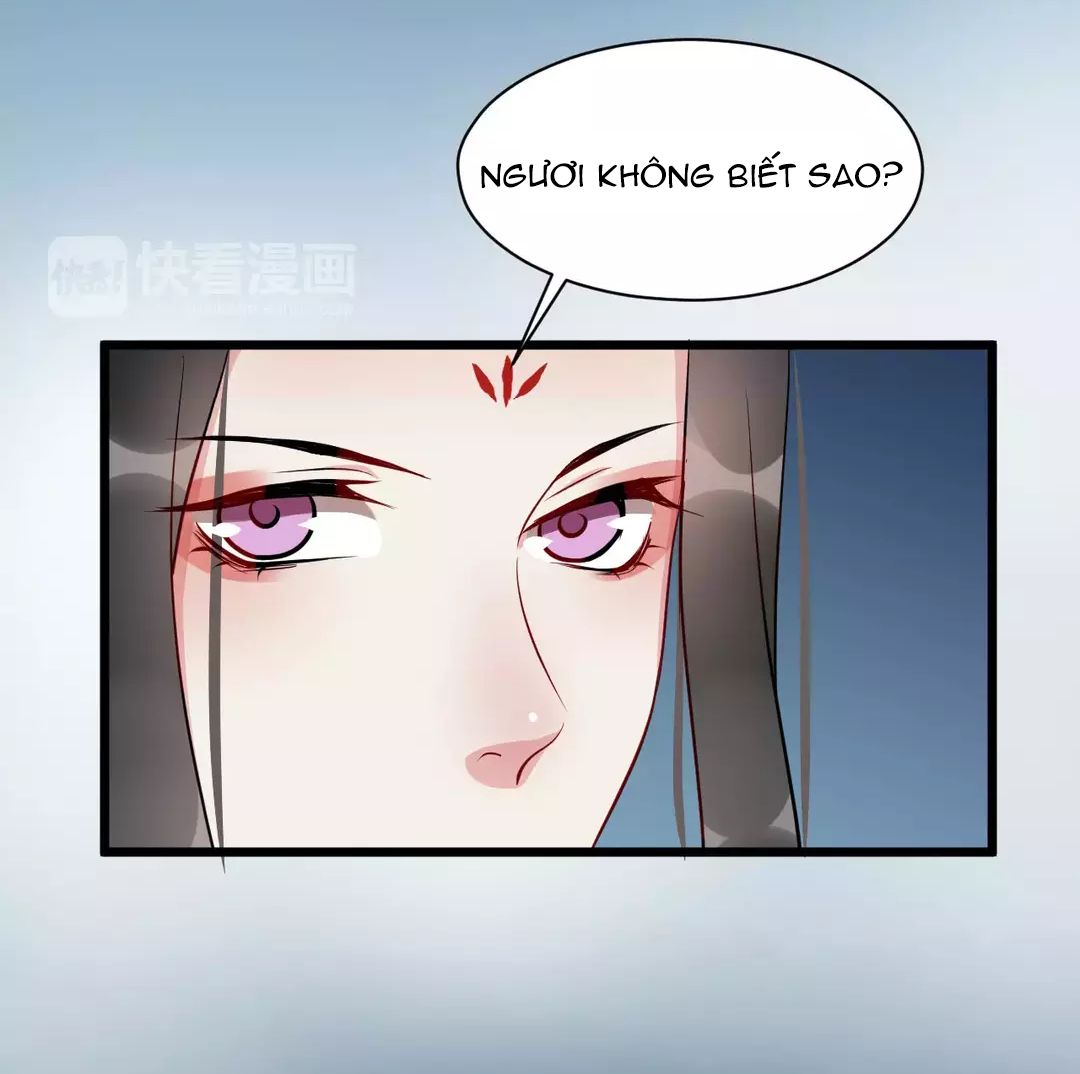 Bồng Sơn Viễn chapter 44 - Trang 11