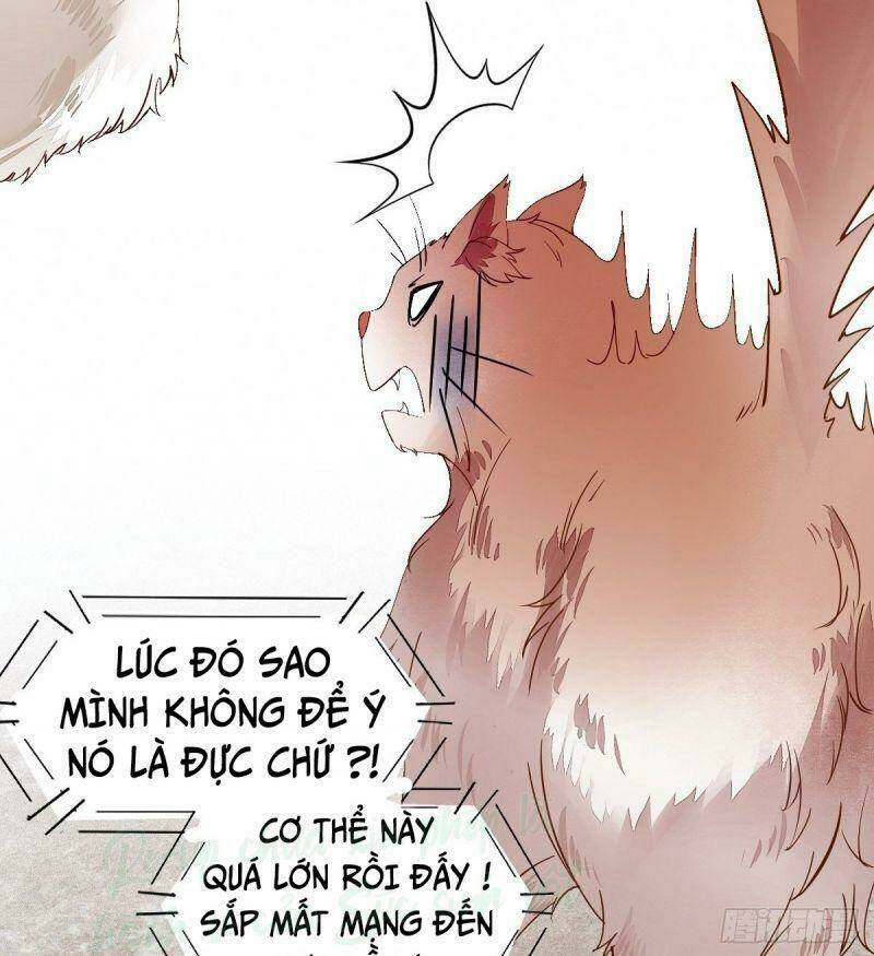 sát thủ vương phi không dễ chọc chapter 34 58