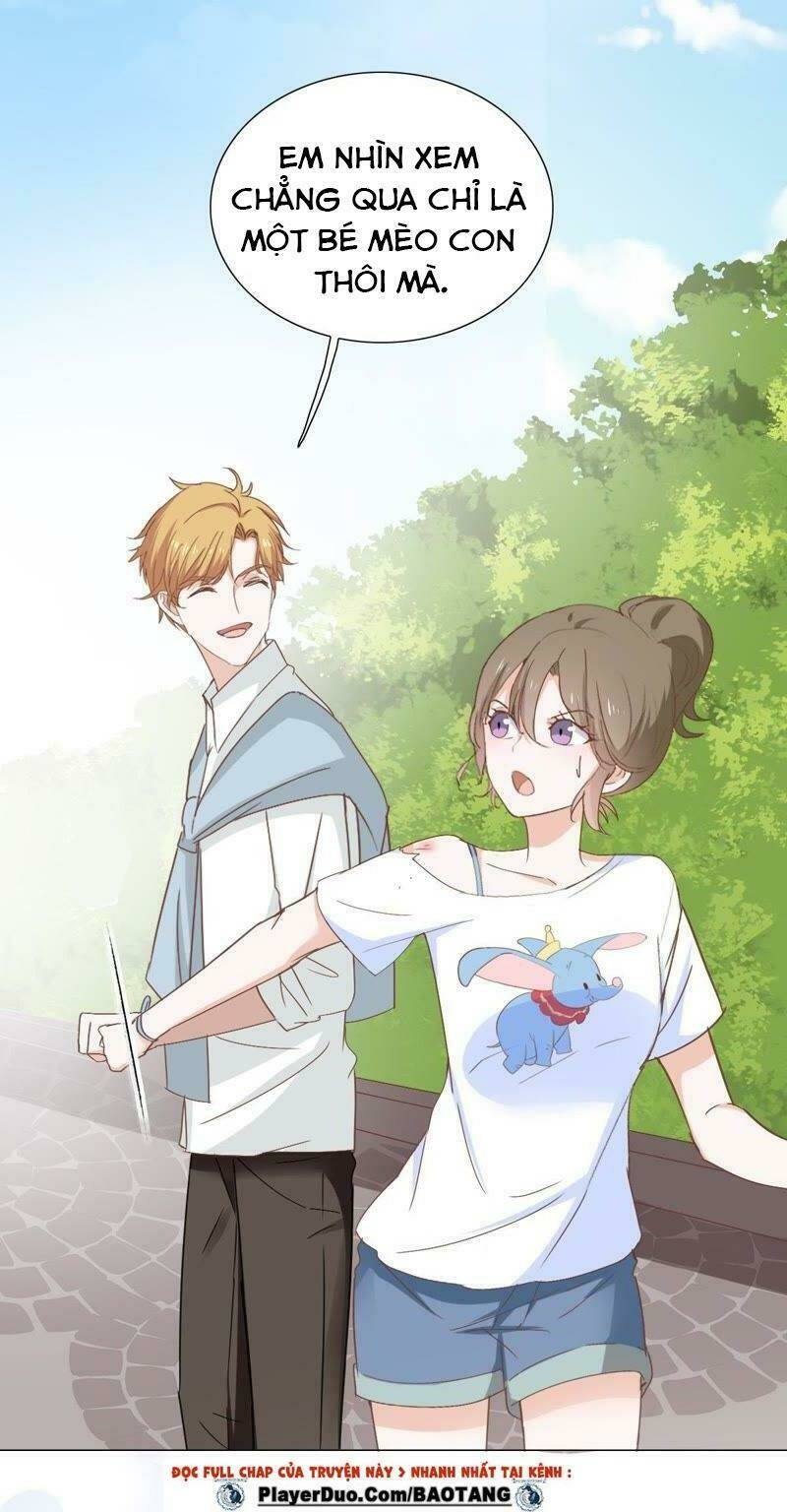 thập nhị hắc miêu chapter 5 19