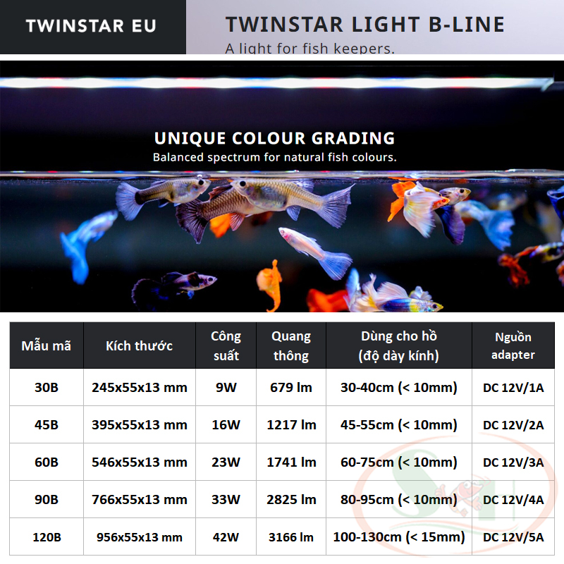 Đèn led Twinstar B Line WRGB 30B, 45B, 60B, 90B, 120B quang phổ cao cấp bể cá tép thủy sinh