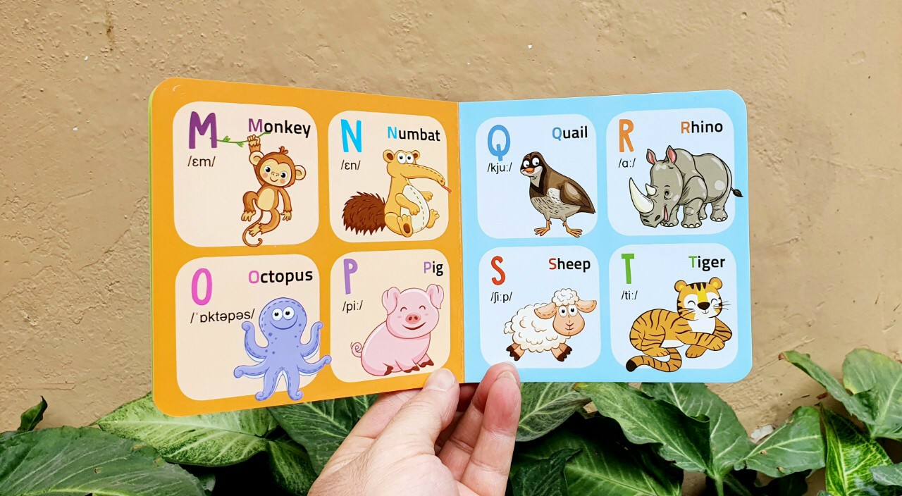 Từ điển hình ảnh đầu tiên cho bé khám phá thế giới (10 cuốn) - My first picture book 