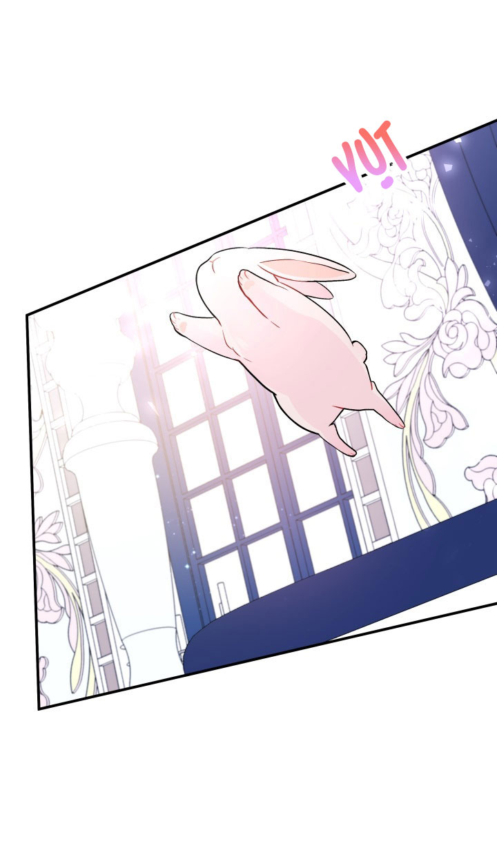 mối liên kết giữa báo đen và bé thỏ chapter 2 14