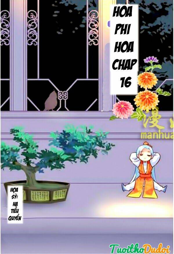 hoa phi hoa chapter 16 1