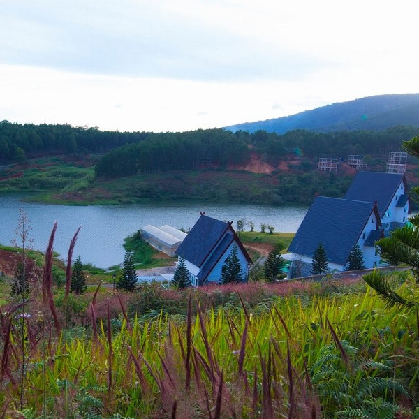 Đà Lạt Wonder Resort 4* - Buffet Sáng, Hồ Bơi Vô Cực, Xe Đưa Đón Trung Tâm, Miễn Phí Tham Quan Vườn Dâu, Vườn Rau, Khách Sạn Bên Hồ Tuyền Lâm Cực Đẹp