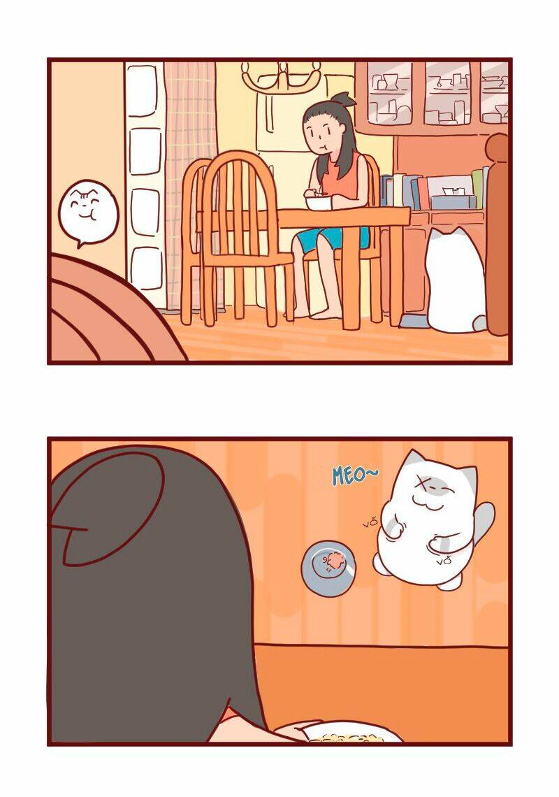 saphie: chú mèo một mắt chapter 11 3