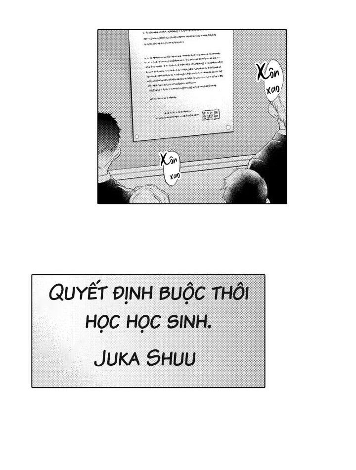 hiyoko-chan to harinezumi-kun chapter 10 44