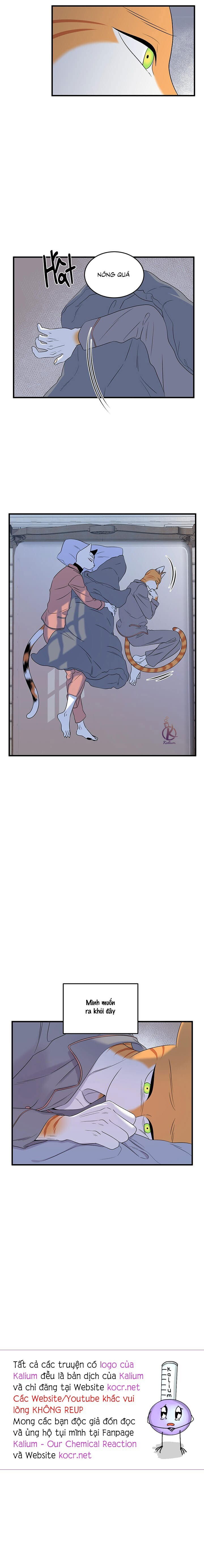 dự án xanh chapter 52 14