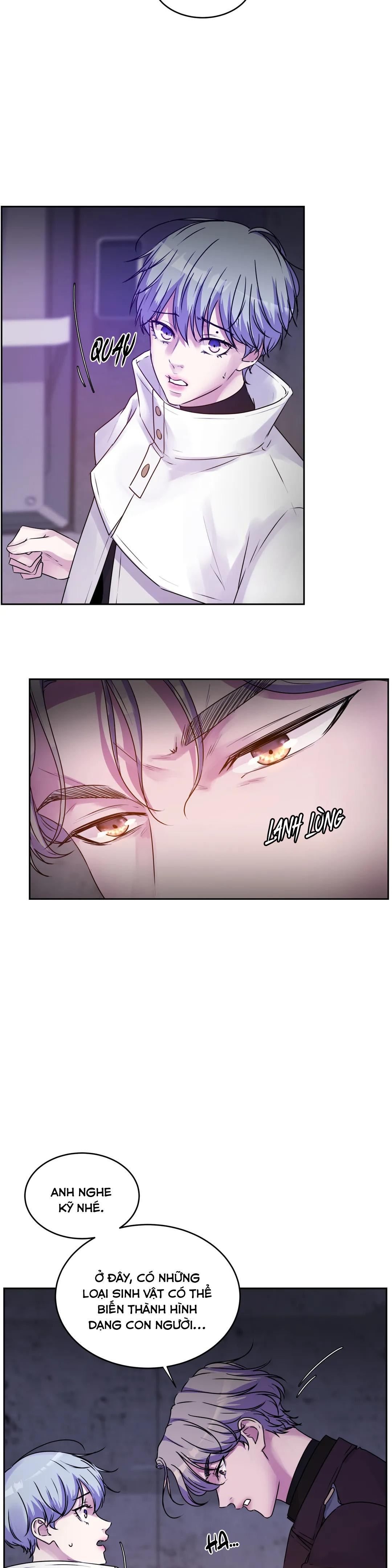 hừng đông chapter 17 12