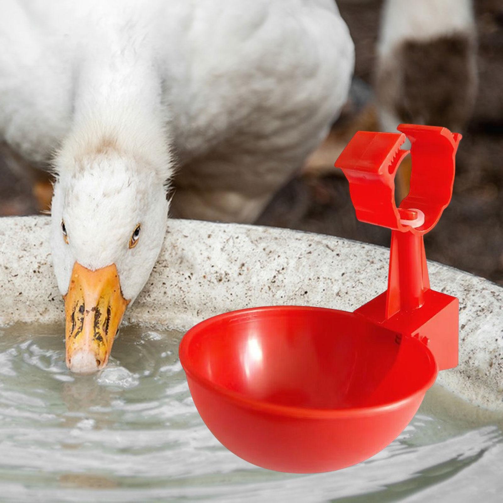 Poultry Drinking Bowl Feeder Water Dispenser Automatic Chicken Water Cup