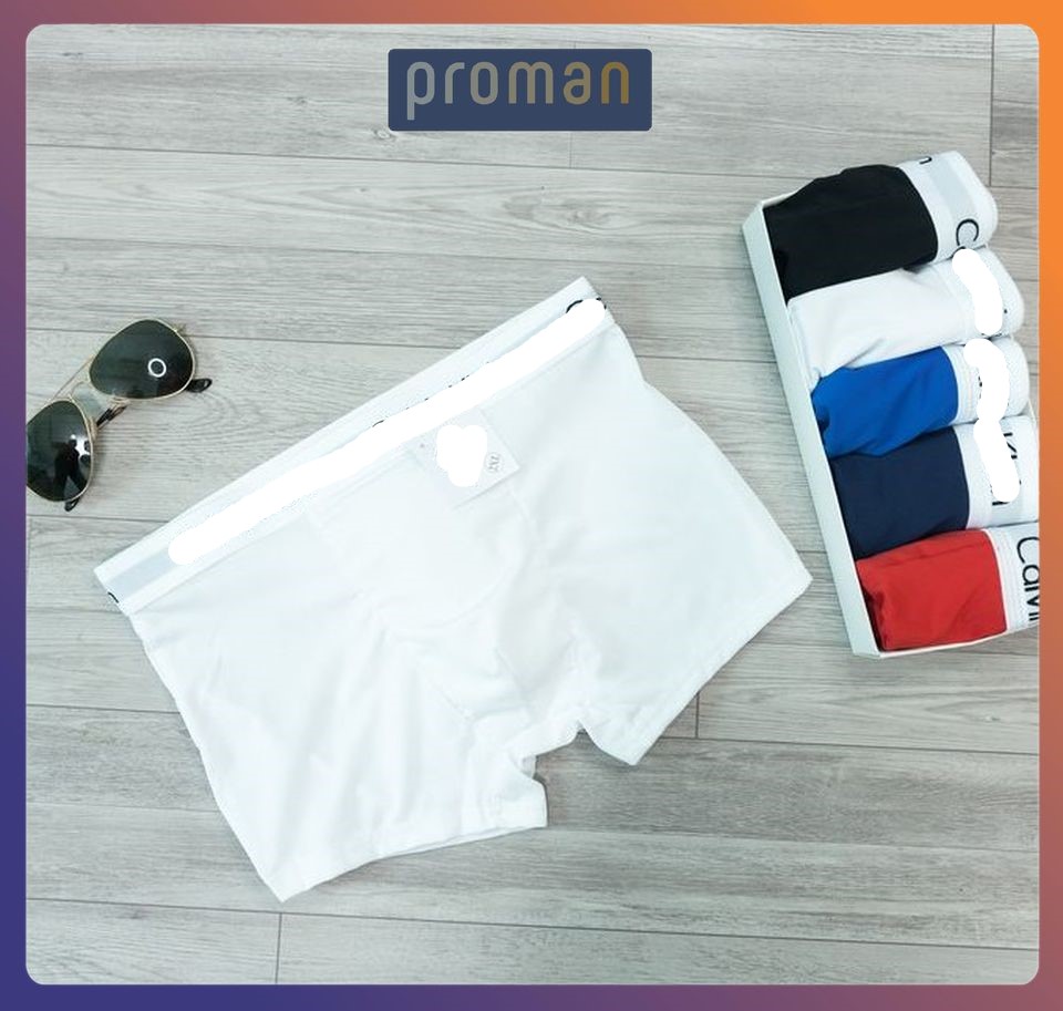 Quần lót nam boxer thun lạnh cao cấp, quần sịp nam co dãn 4 chiều SD01 - PROMAN