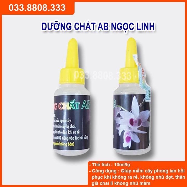 Dưỡng Chất AB Giúp Phục Hồi Mầm Gốc, Kích thích Ra Rễ, Nuôi Dưỡng Mầm Hoa