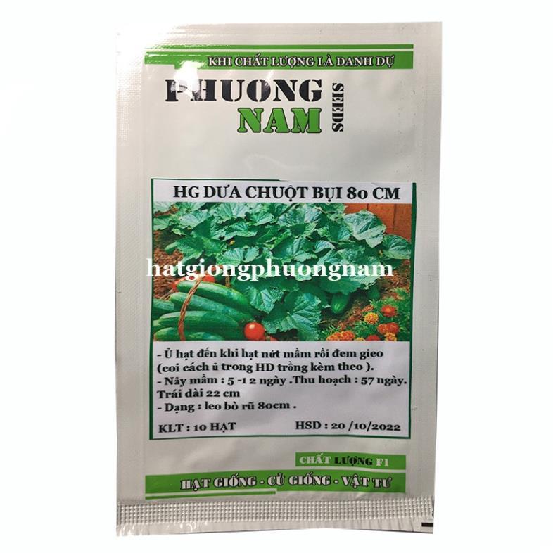 10 H - HẠT GIỐNG DƯA CHUỘT BỤI 80 CM