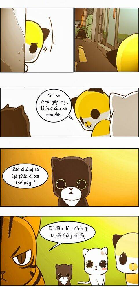 papi nyang chapter 18 9