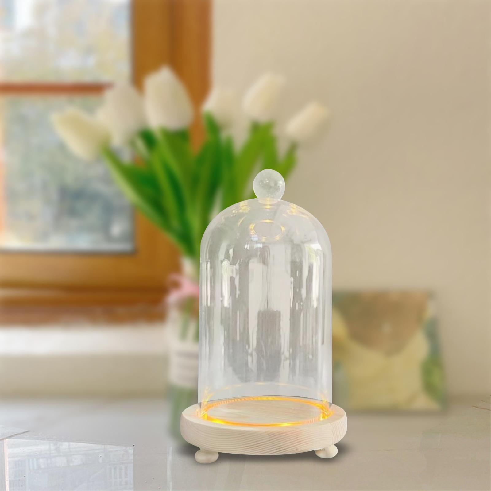 Glass Cloche Dome Eternal Flowers Glass Domes Showcase Transparent Dome Cloche