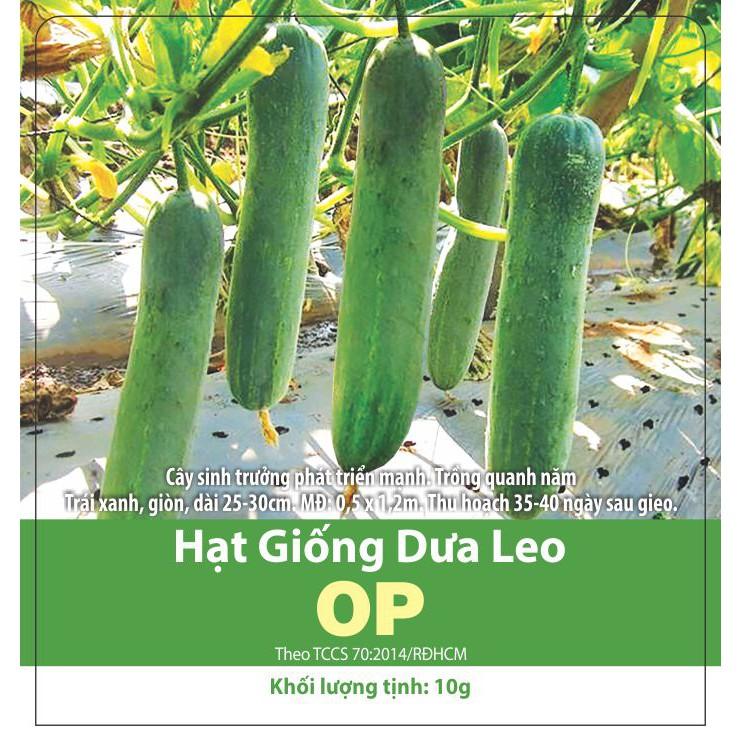 5 Gram Hạt Giống Dưa Leo Lai F1