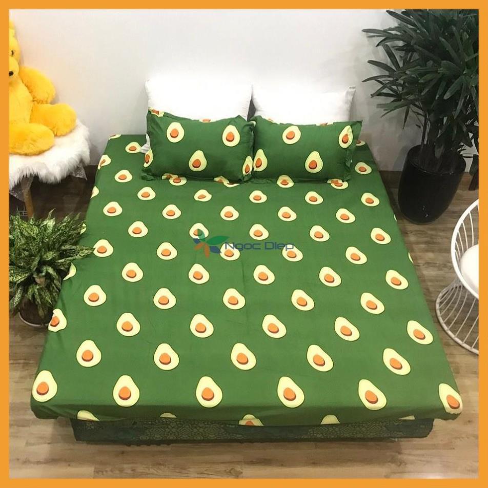 Set vỏ chăn ga gối cotton poly mẫu quả bơ m2, m6, m8, 2m2