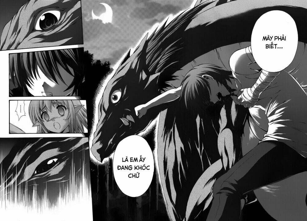 seikoku no dragonar chapter 19 27