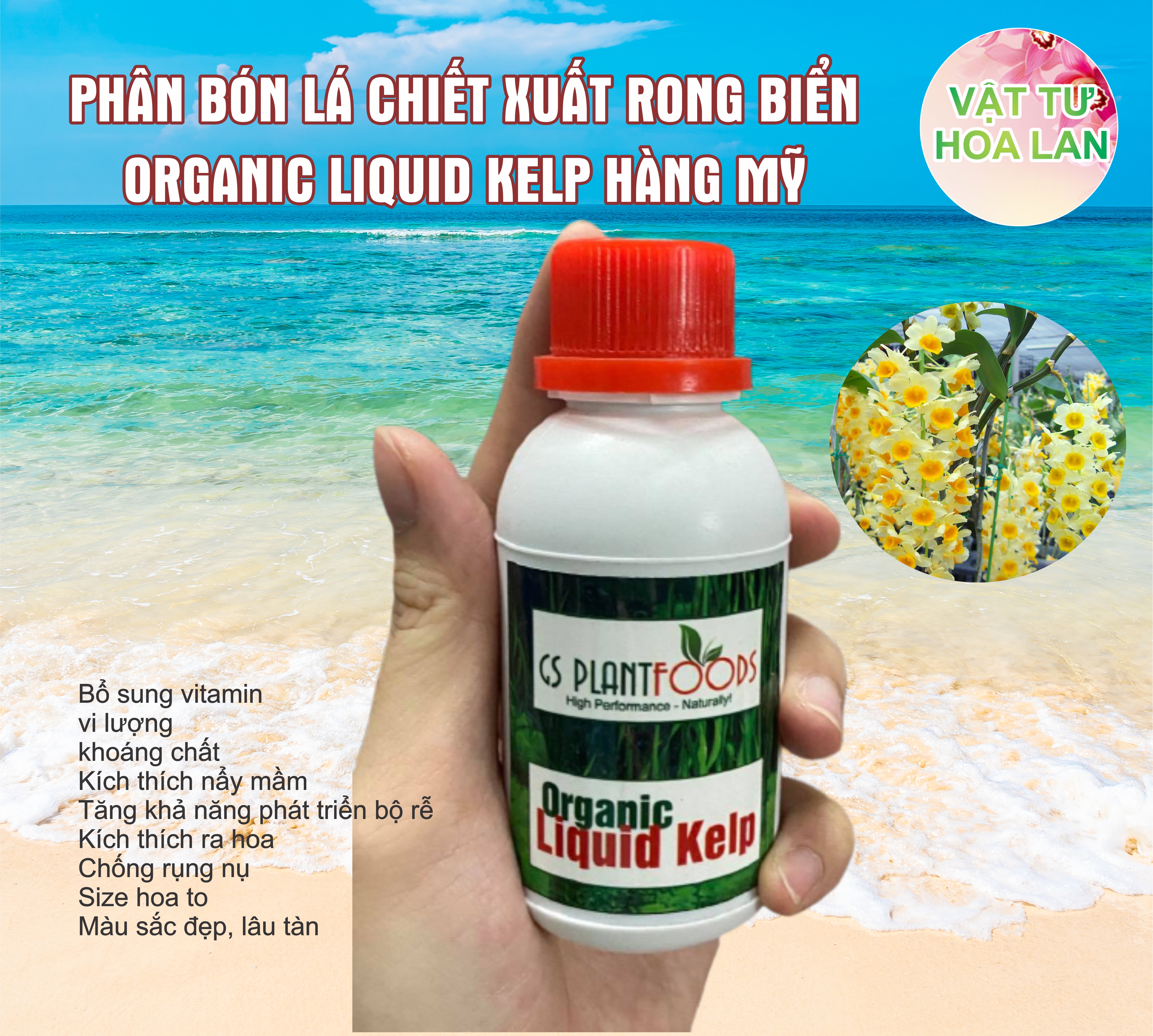 Phân bón rong biển Organic Liquid Kelp hàng Mỹ - 100 ml