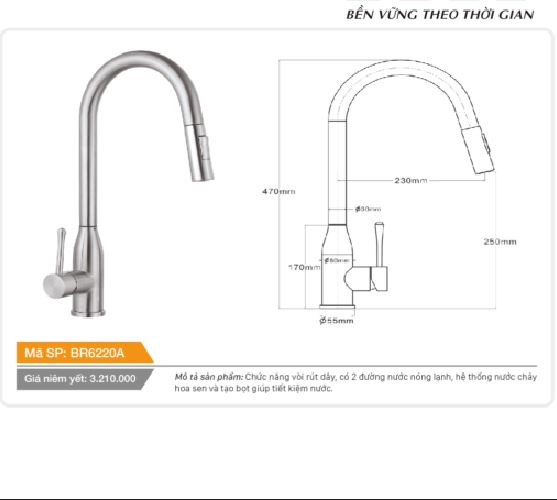 Vòi rút dây cổ hình bầu dục nóng lạnh inox Tundo BR6220A Boss 470*55*250 mm