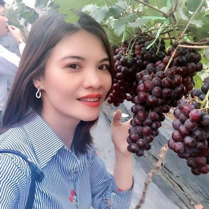 Cây Giống Nho Hạ Đen Không Hạt