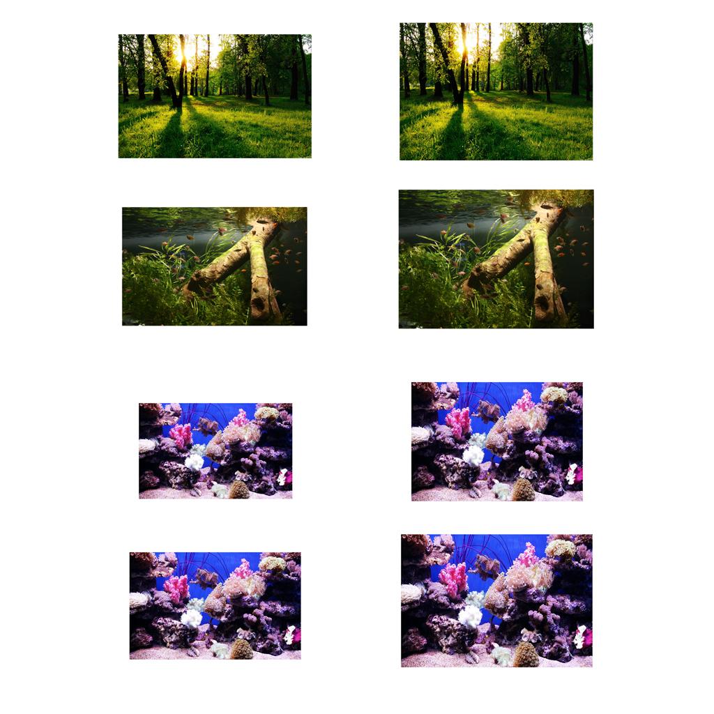 Aquarium Background Adhesive Poster Fish Tank Wall Decorations Sticker