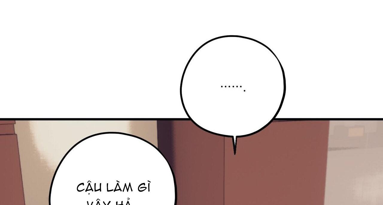 chàng dâu nhà họ kang chapter 58 45