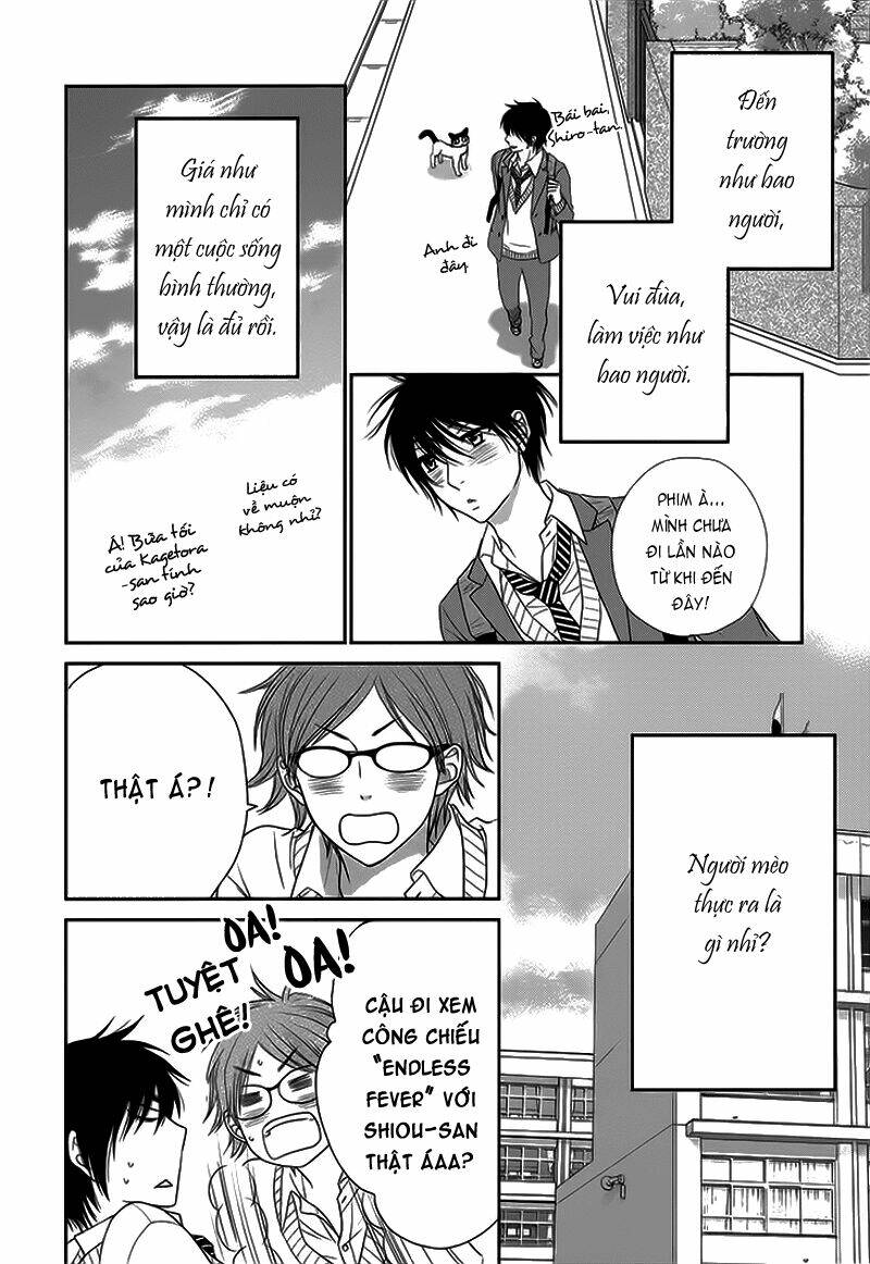 nekoka danshi no shitsukekata chapter 11 12