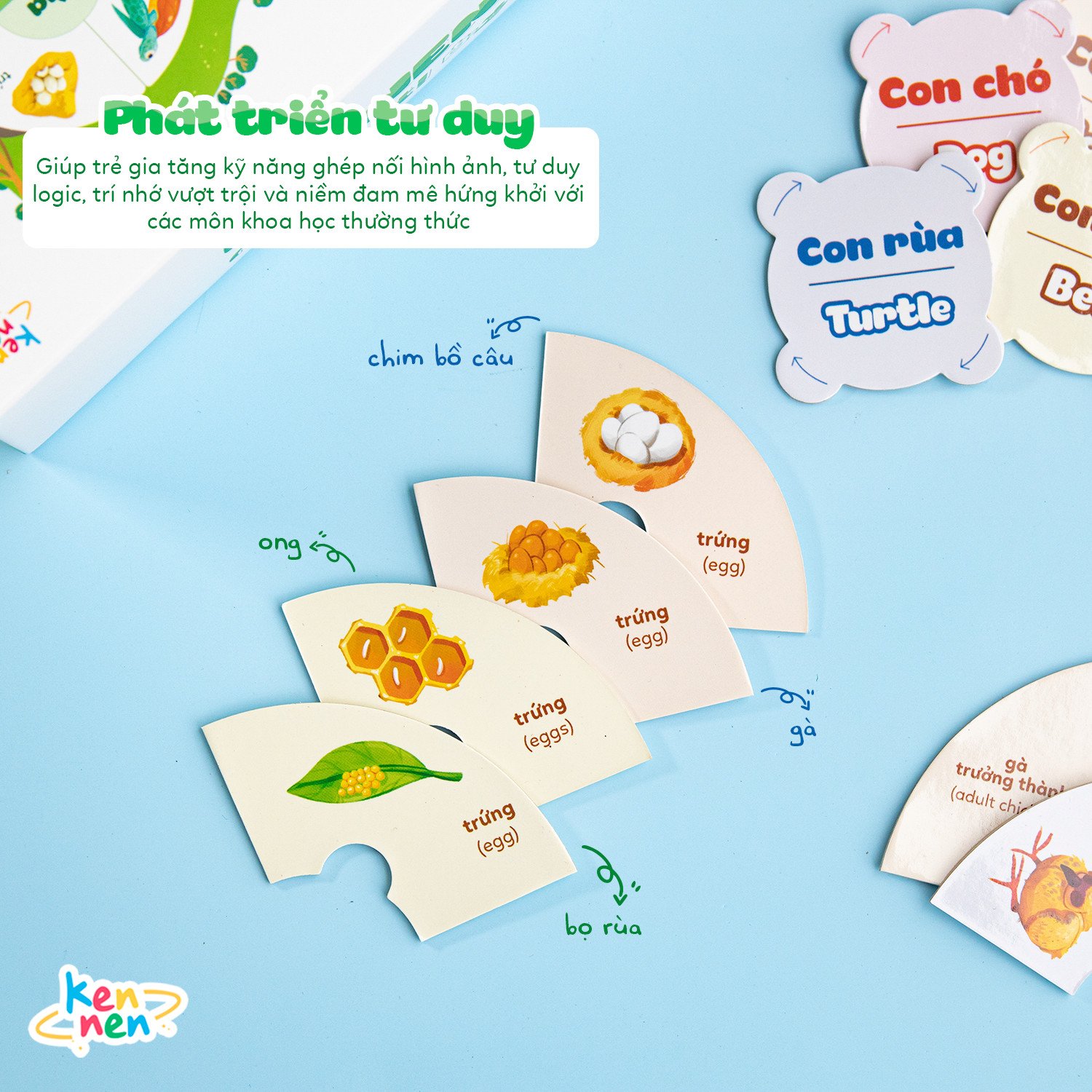 Kennen Match it - Puzzle học chữ và đánh vần Tiếng Việt 5in1 và học các Kỹ năng sống, Vòng đời của sự sống - Dành cho bé từ 3 tuổi