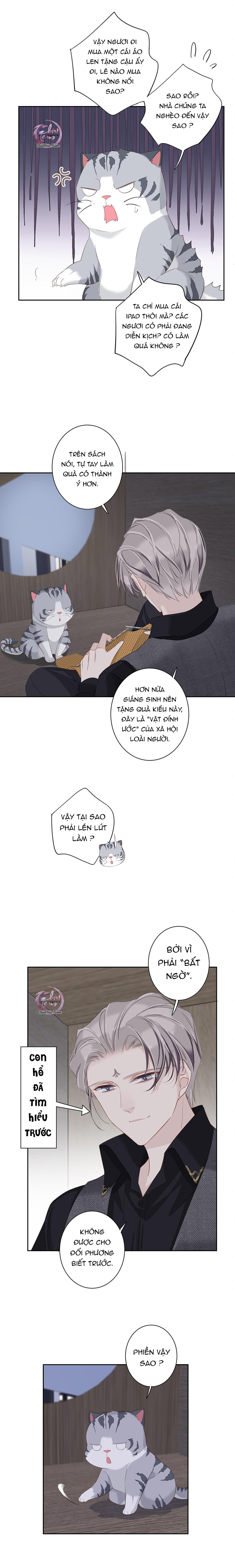 cuộc mai mối vượt giống loài chapter 38 6