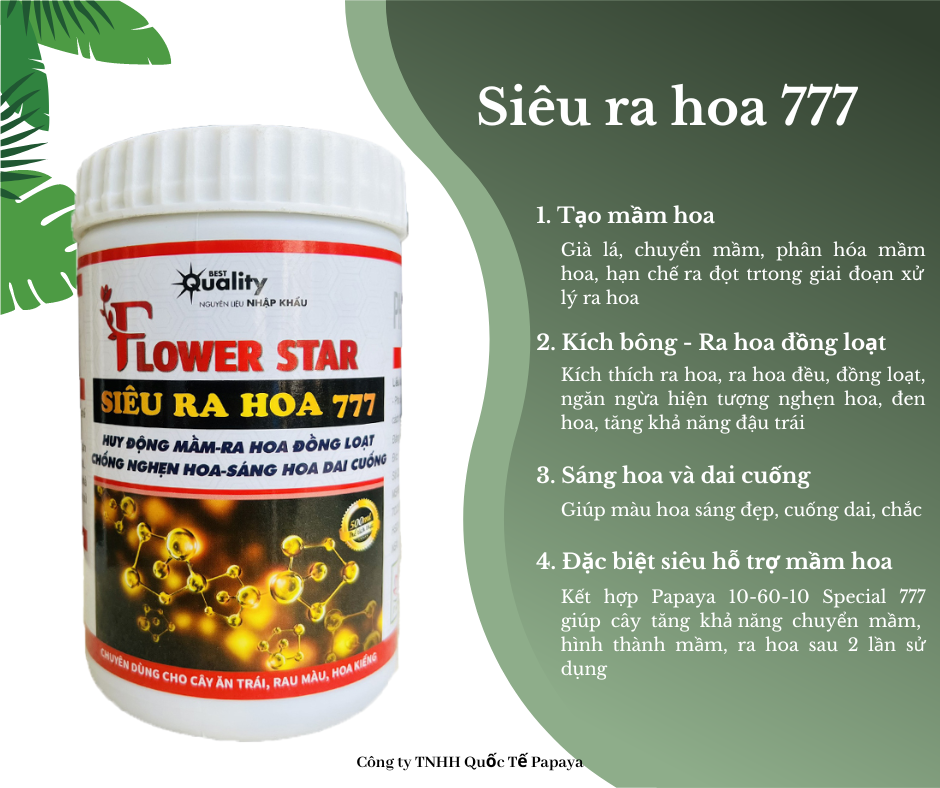 Phân bón NPK Papaya Siêu Ra Hoa 777 500ml Ra hoa đồng loạt - Sáng bông - Dai cuống