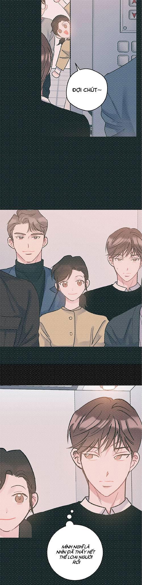 tình yêu bình dị nhất chapter 31 24