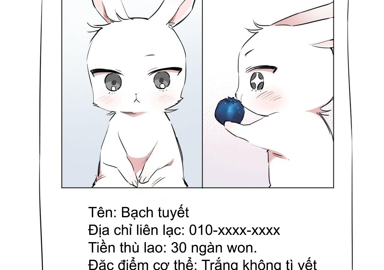 đàn thỏ của habibi chapter 20 97