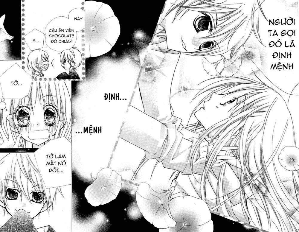 chocolate chapter 1 24