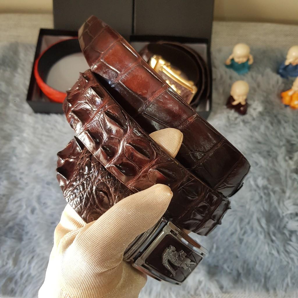 Dây Lưng Cá Sấu, Dây Liền Nguyên Con Không Nối, Da Cá Sấu Gù Lưng, Bản 3,5cm I Nâu Cafe I Bảo Hành 24 Tháng