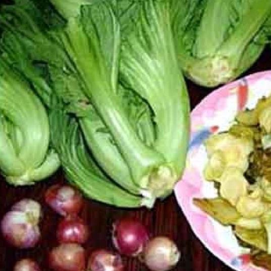 Combo 3 gói ,Hạt giống rau Cải bẹ dưa-gói 20 gram-tặng kèm gói phân bón lót