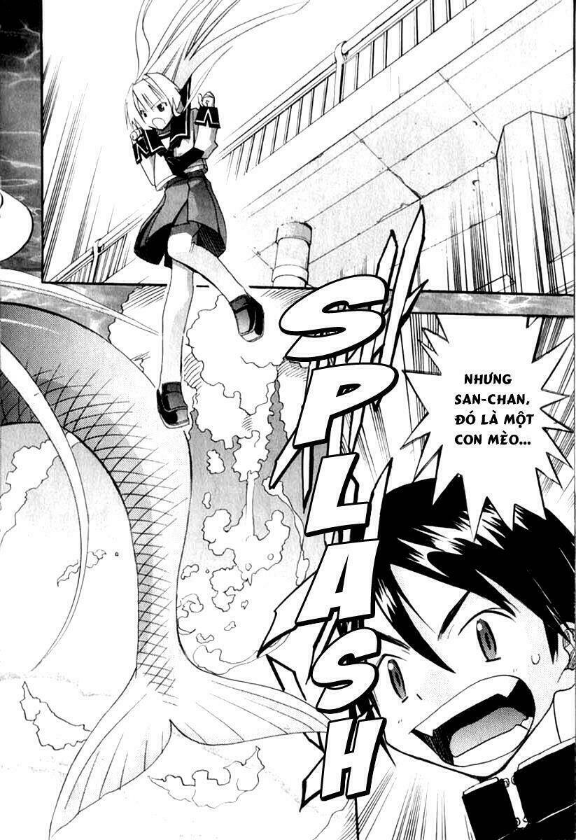 seto no hanayome chapter 23 37