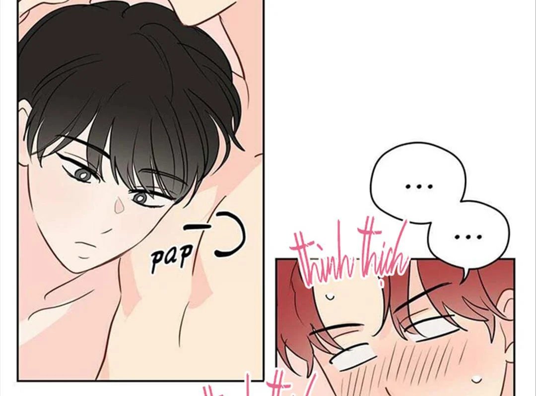 chuyện quái gì với giấc mơ đó vậy chapter 32 15