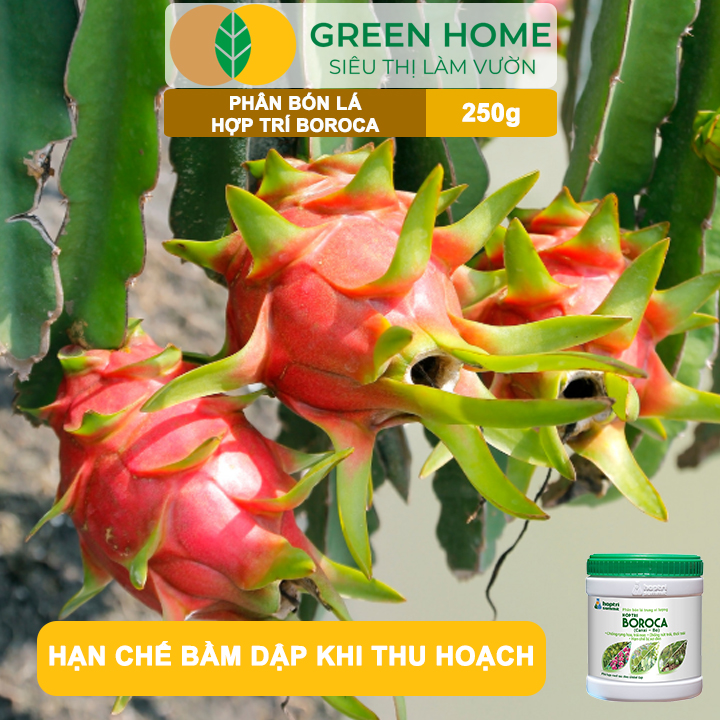 Phân bón lá Hợp Trí Boroca GreenHome, Hũ 250gr, Giúp Chống Rụng Hoa, Trái Non Tăng Đậu Trái Hiệu Quả