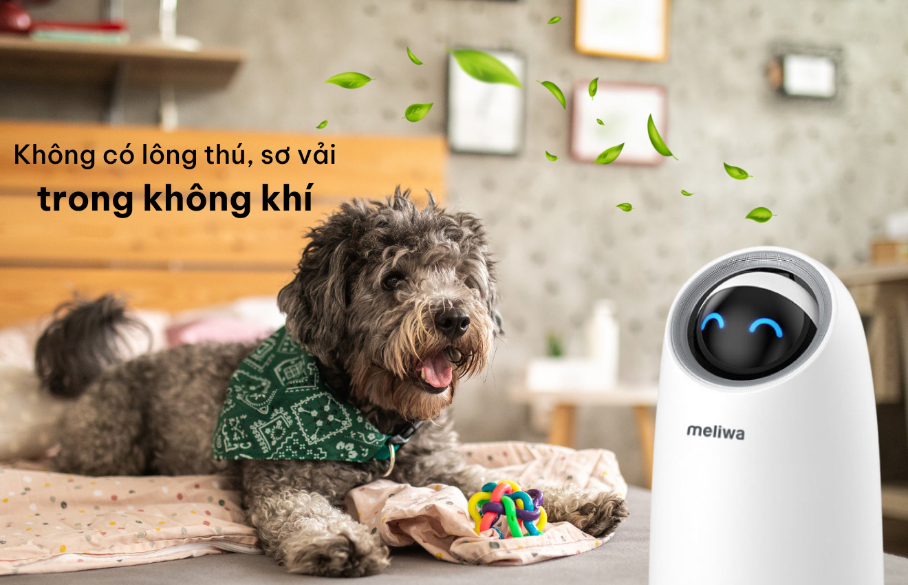 Máy lọc không khí meliwa M20 Pro Lọc bụi mịn đến 99,95%, UVC diệt khuẩn, Điều khiển bằng giọng nói thương hiệu Singapore