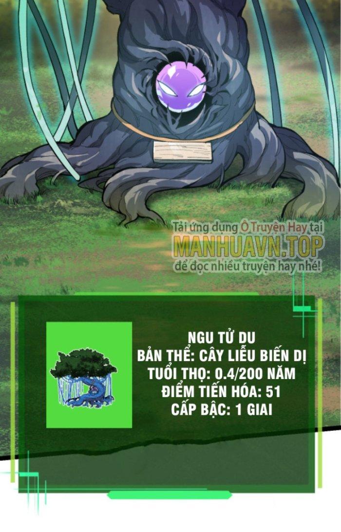 từ cây cổ thụ bắt đầu tiến hóa chapter 6 19