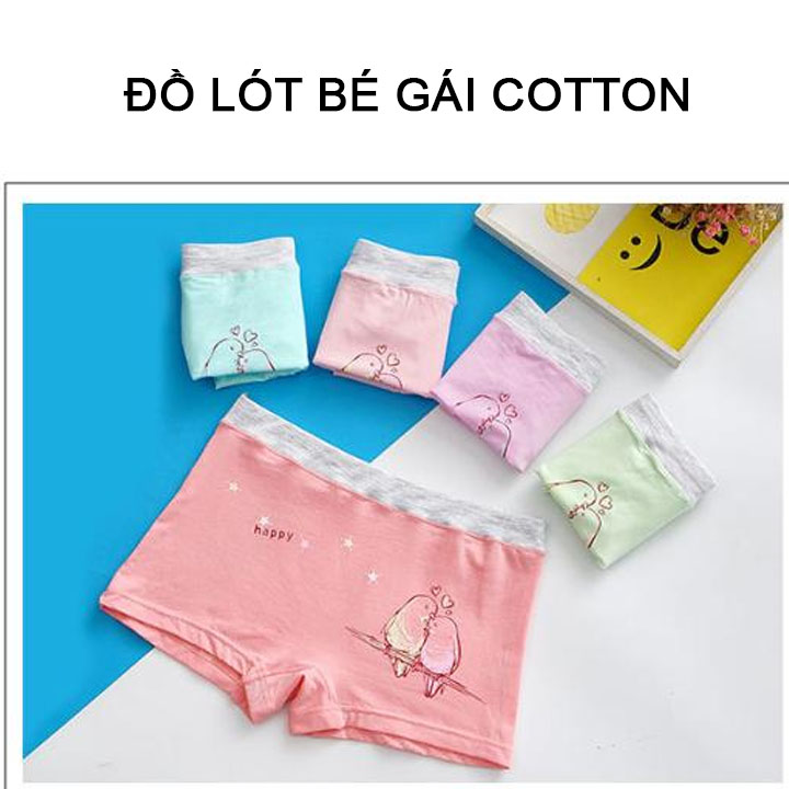 Combo 5 chiếc quần lót bé gái vải cotton cao cấp nguyên chất